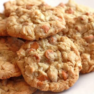 butterscotch coconut cookies recipe chips shredded