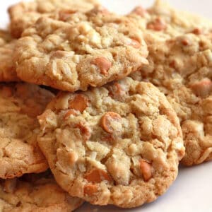 Coconut Butterscotch Cookies - 49