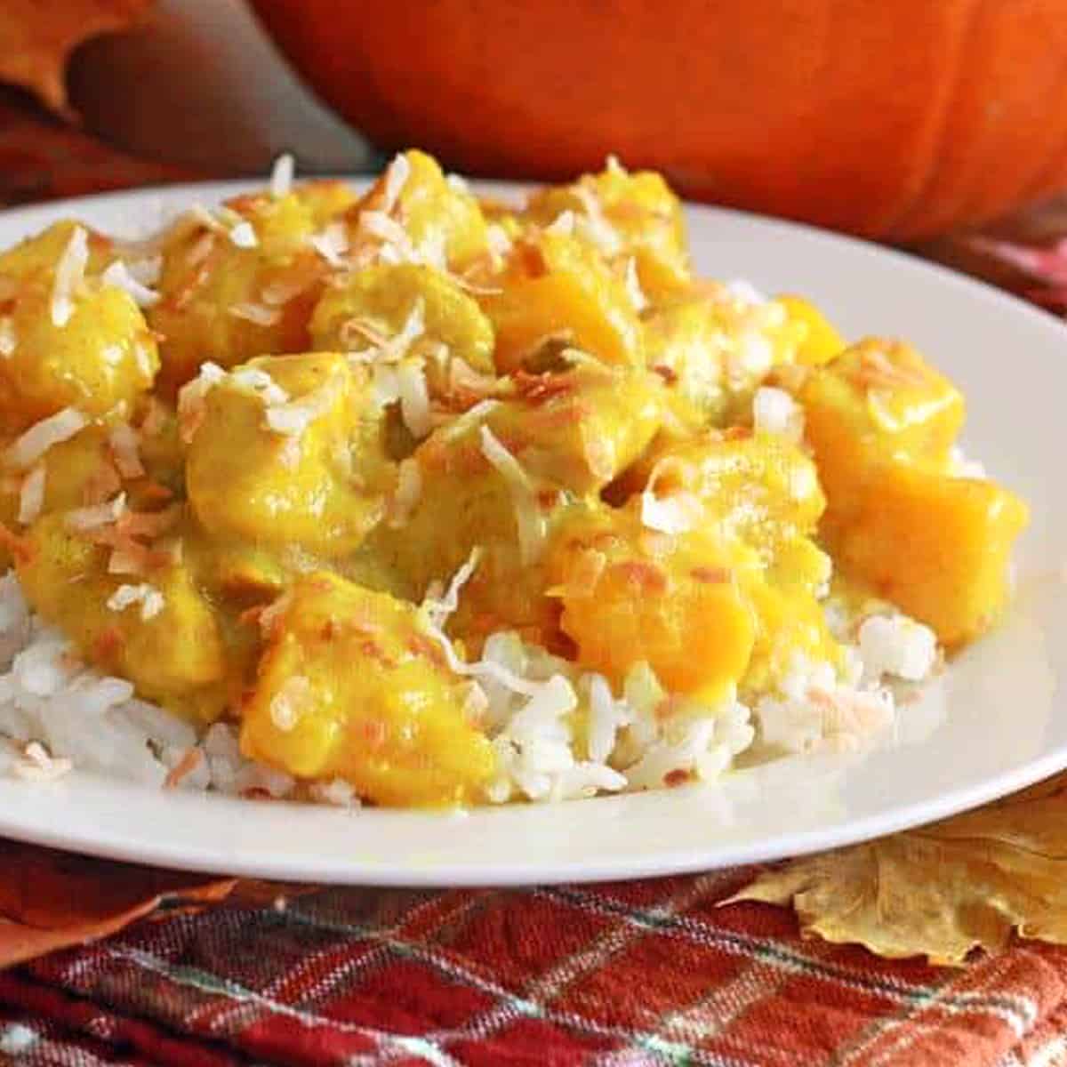 Pumpkin Curry-image