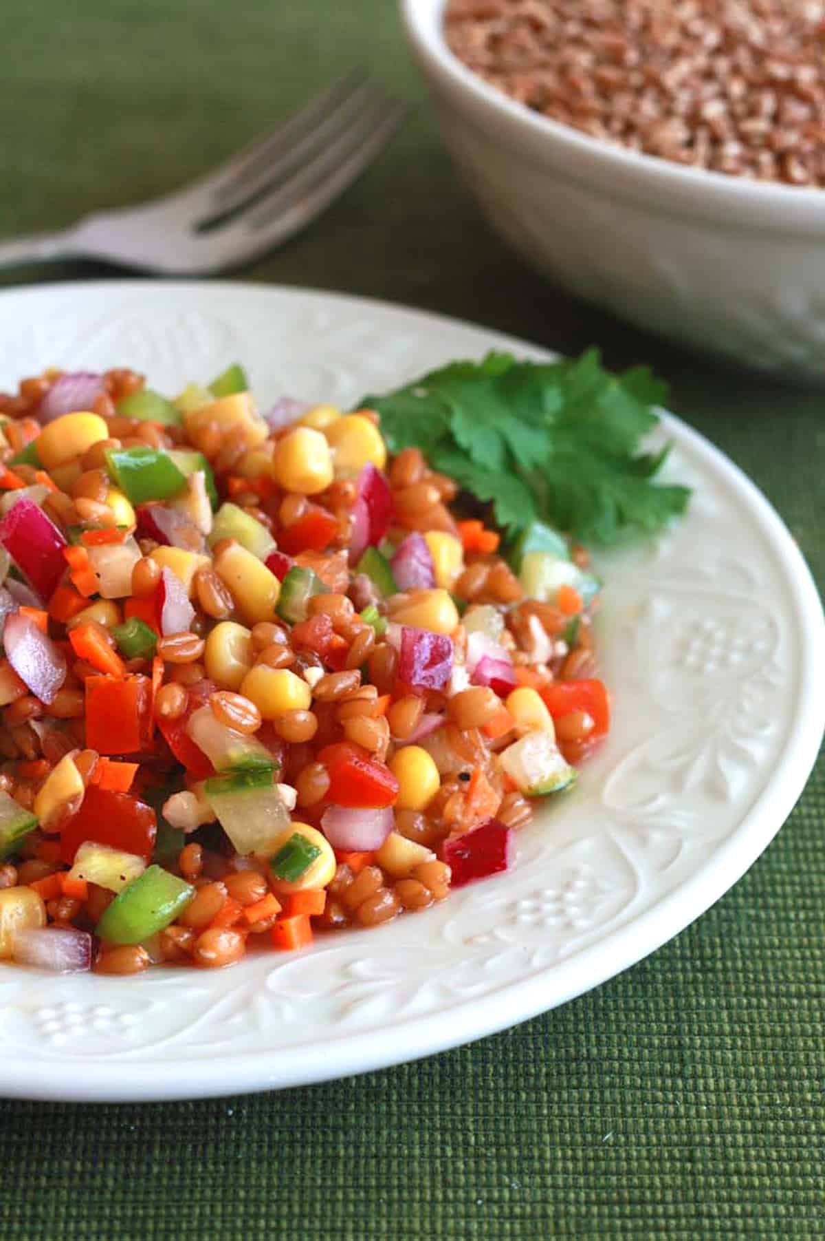 wheat berry salad recipe vinaigrette crunchy healthy vegetables peppers onions carrots corn tomatoes nuts walnuts almonds sunflower seeds pumpkin