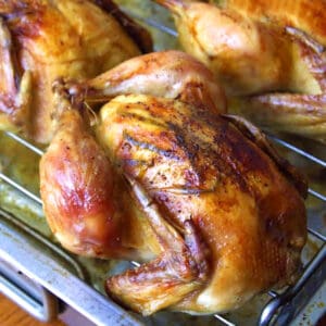 cornish game hen recipe best roasted lemon garlic herb rosemary thyme crispy skin