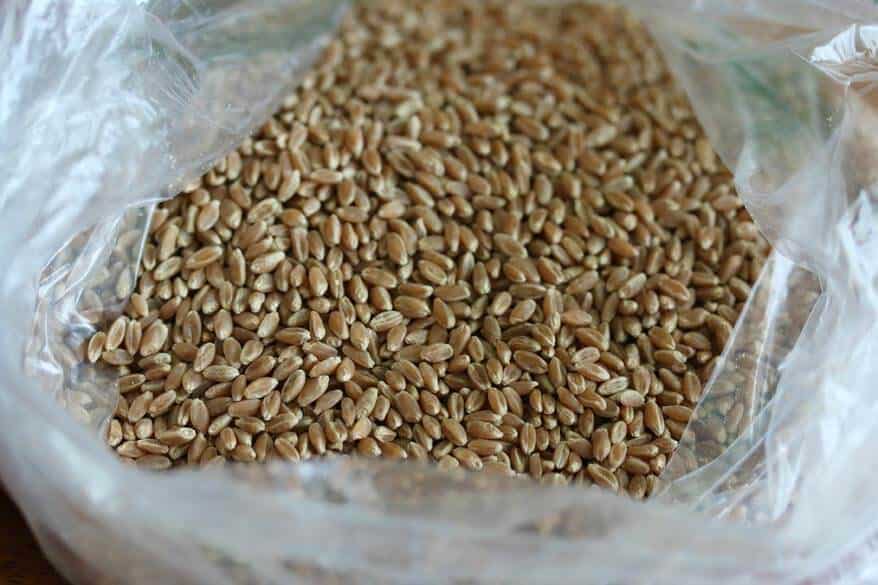 bag of wheat berries