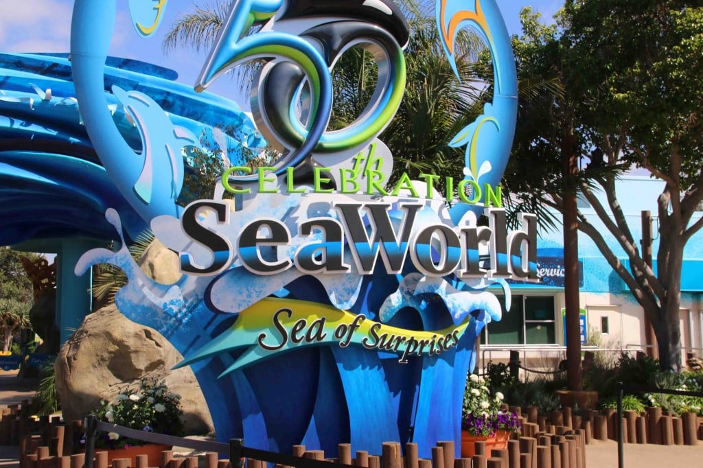 Sea World 29