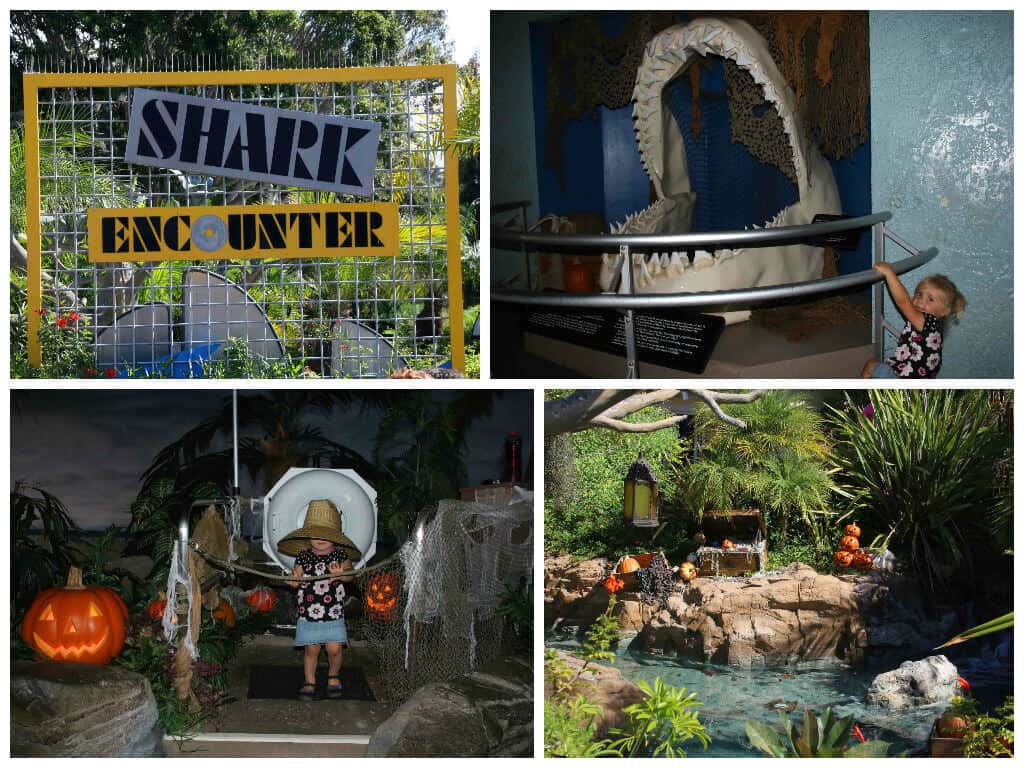 SeaWorld Collage 2