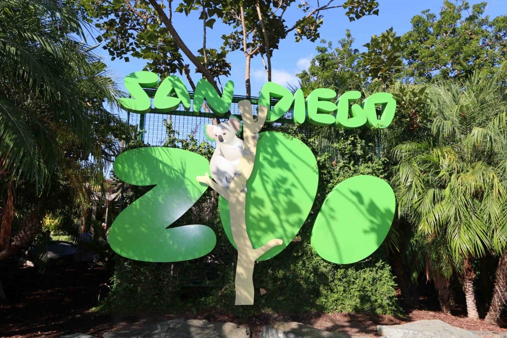Zoo 3