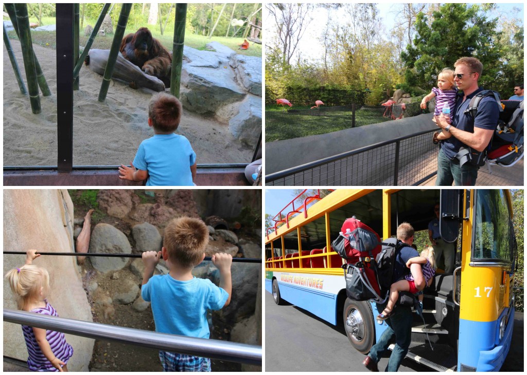 Zoo Collage 6