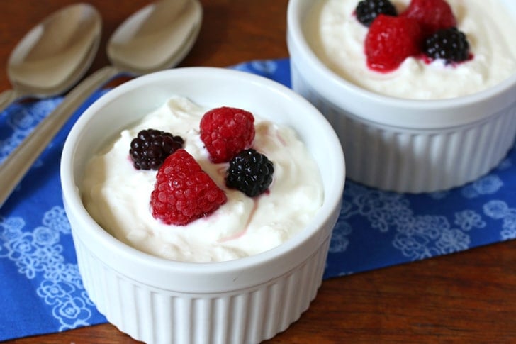 BEST Easy Homemade Greek (or Regular) Yogurt - The Daring Gourmet