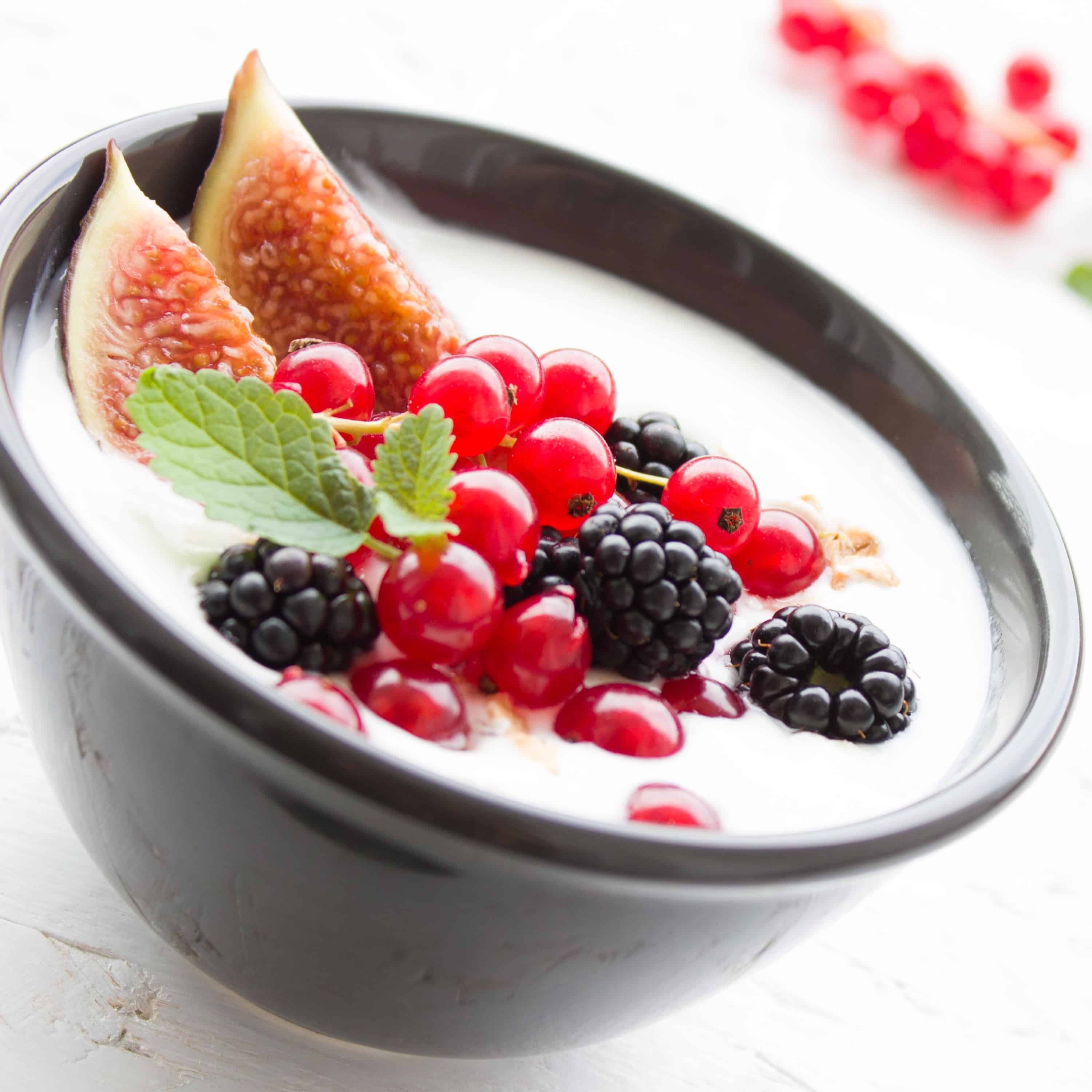 Image result for yogurt