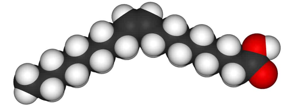 fat-mono-1