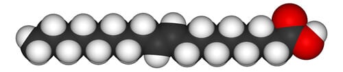 fat-trans-1