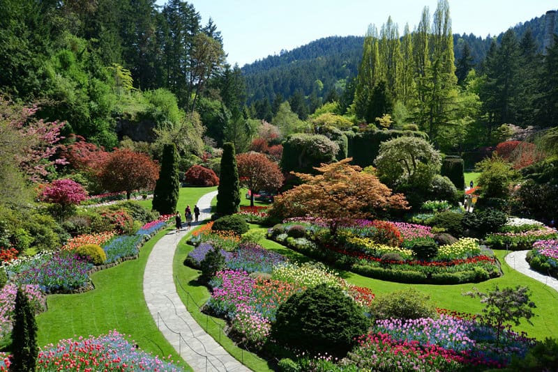 Christmas Lights at Butchart Gardens, Victoria BC, Even a d…