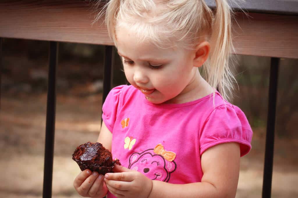 healthy chocolate cupcakes whole grain coconut oil no sugar wheat germ quinoa recipe