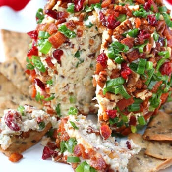 christmas cheese ball recipe cranberries bacon pecans green onions blue cheese
