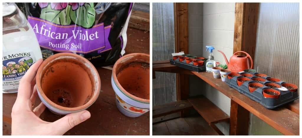 cleaning clay flower pots