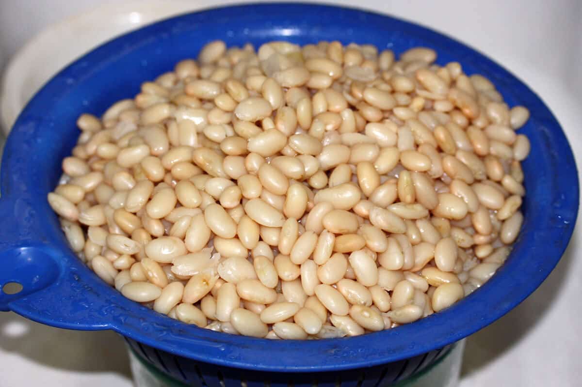 Pressure-Canner-Baked-Beans-prep-3