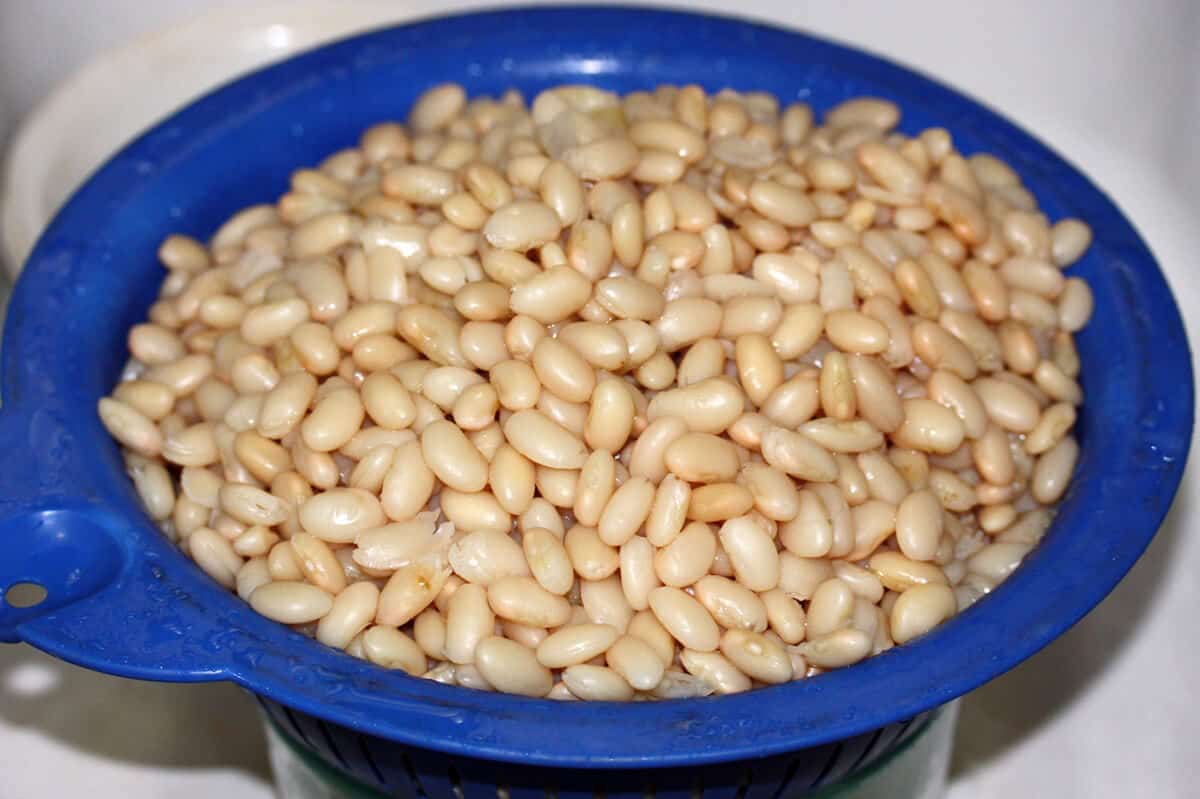How To Make Homemade Canned Boston Baked Beans or Pork and Beans The