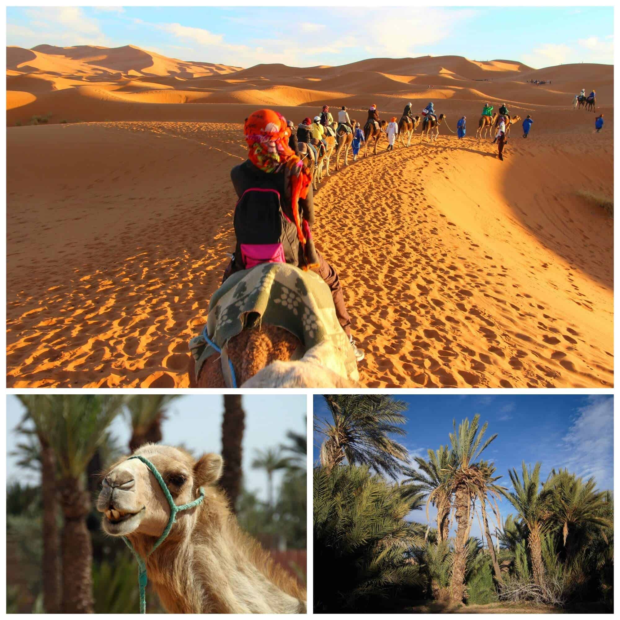 Morocco Collage 4