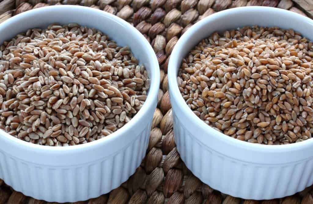 whole grains in white bowls