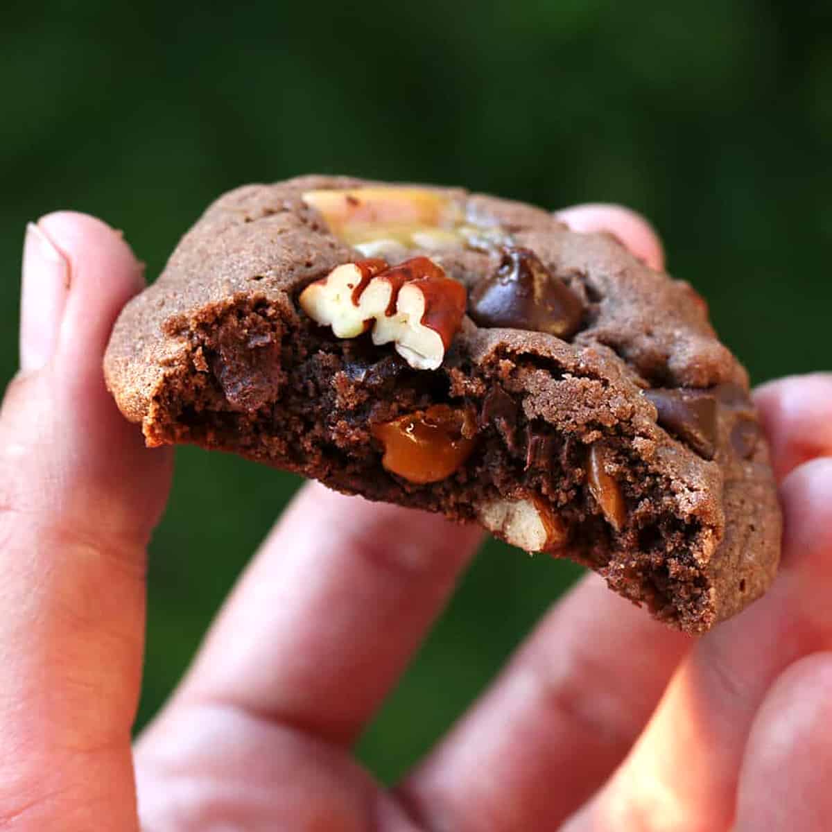 mexican turtle cookies recipe chocolate caramel pecan nuts
