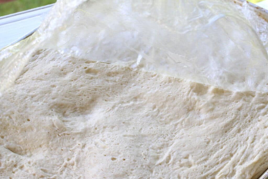 risen dough on baking sheet