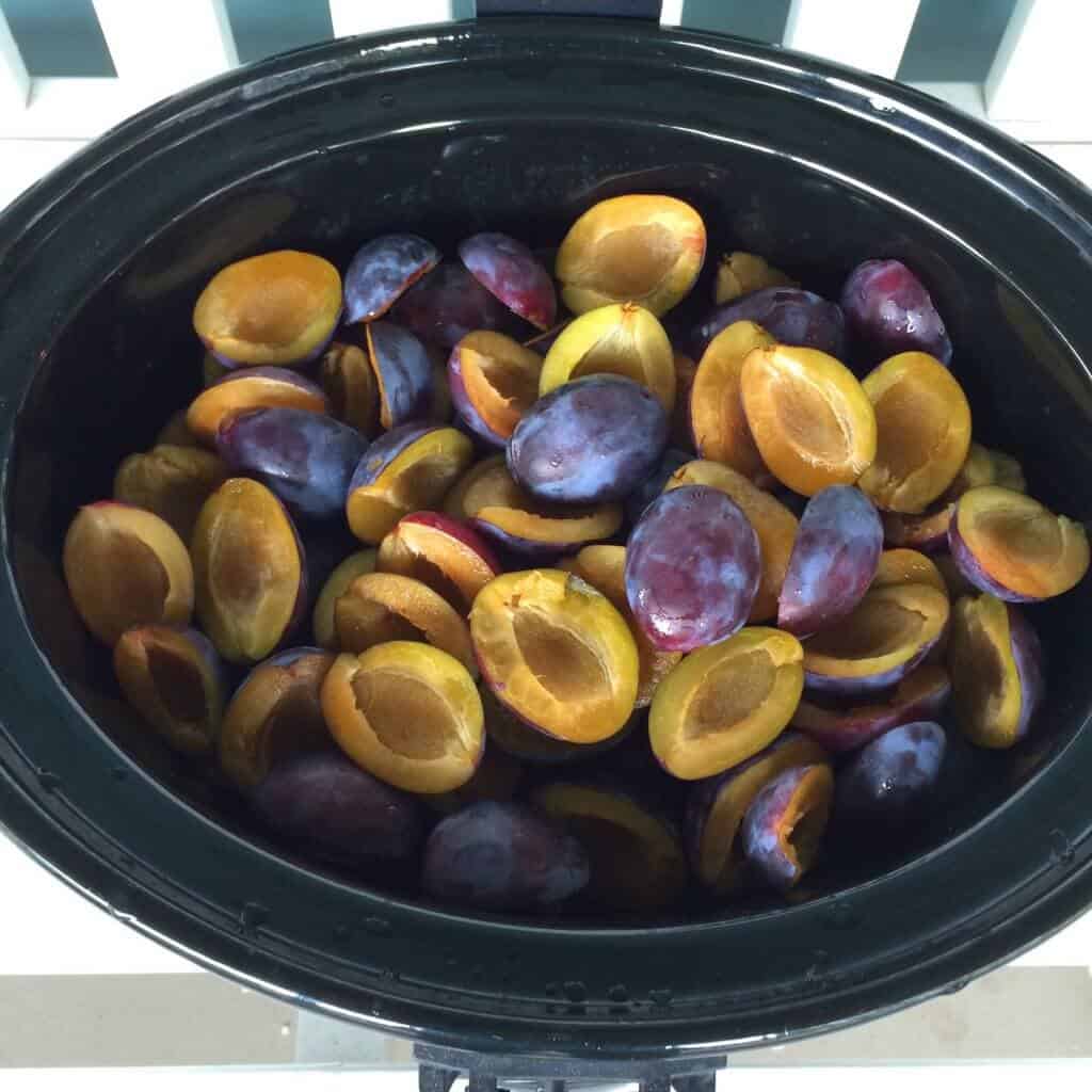 adding fruit to slow cooker