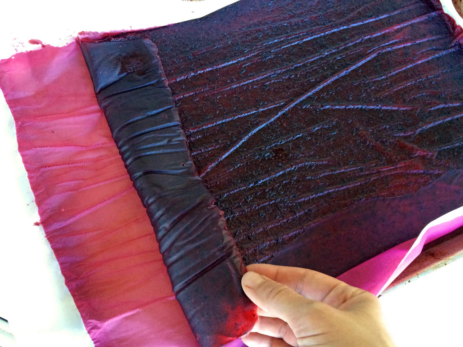 How To Make Fruit Leather