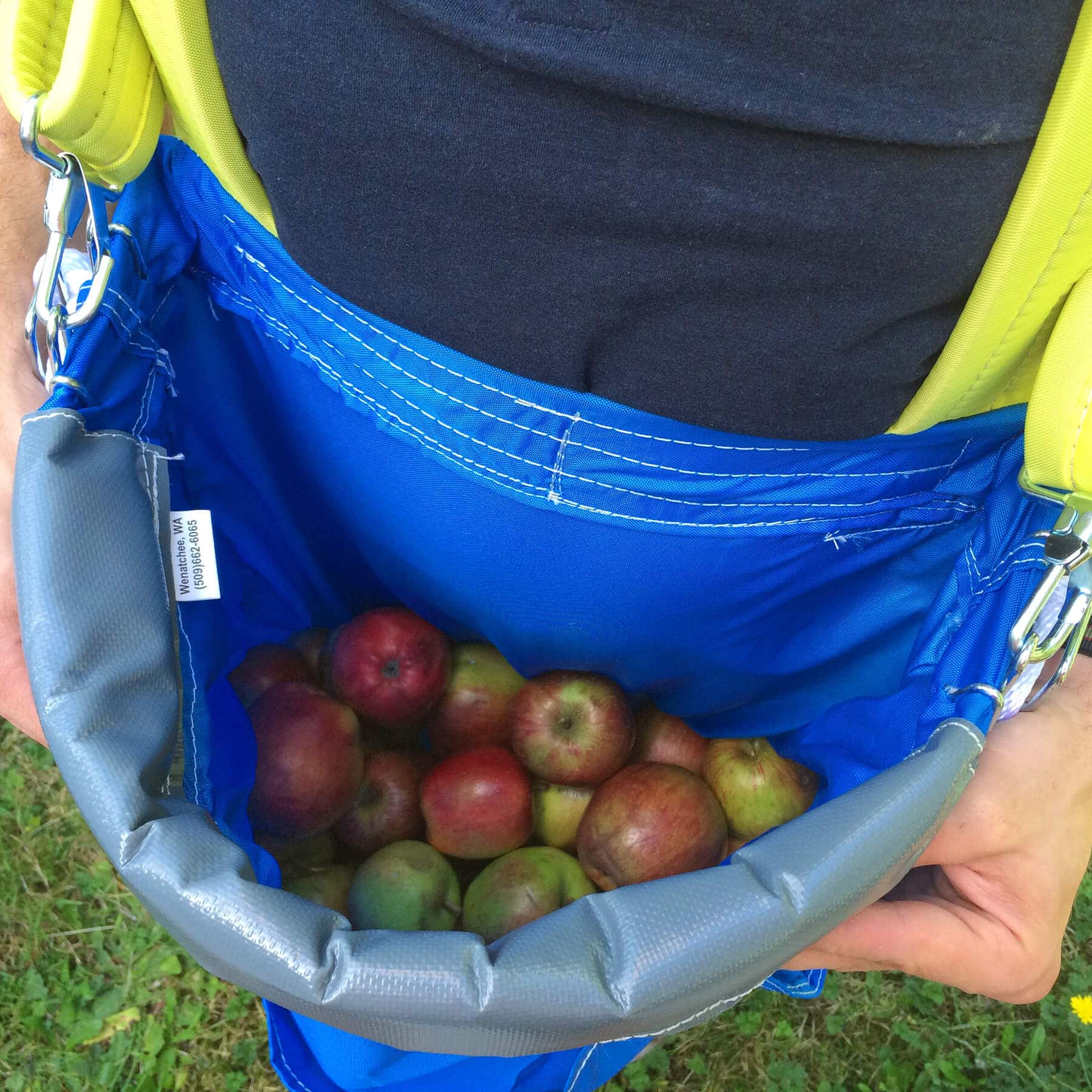 Maximizer Fruit   Apple Cider Press Review   How To Bottle   Preserve Fresh Apple Juice - 26