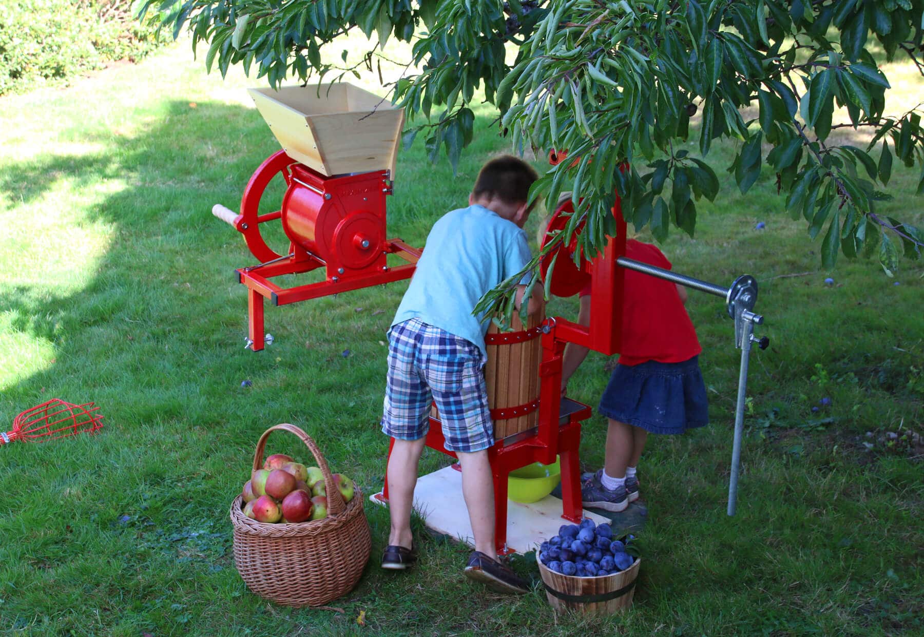 Maximizer Fruit   Apple Cider Press Review   How To Bottle   Preserve Fresh Apple Juice - 53