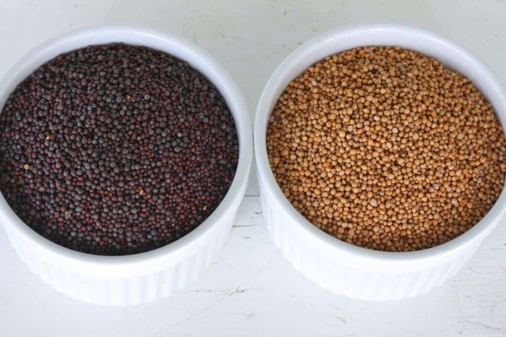 brown and yellow mustard seeds