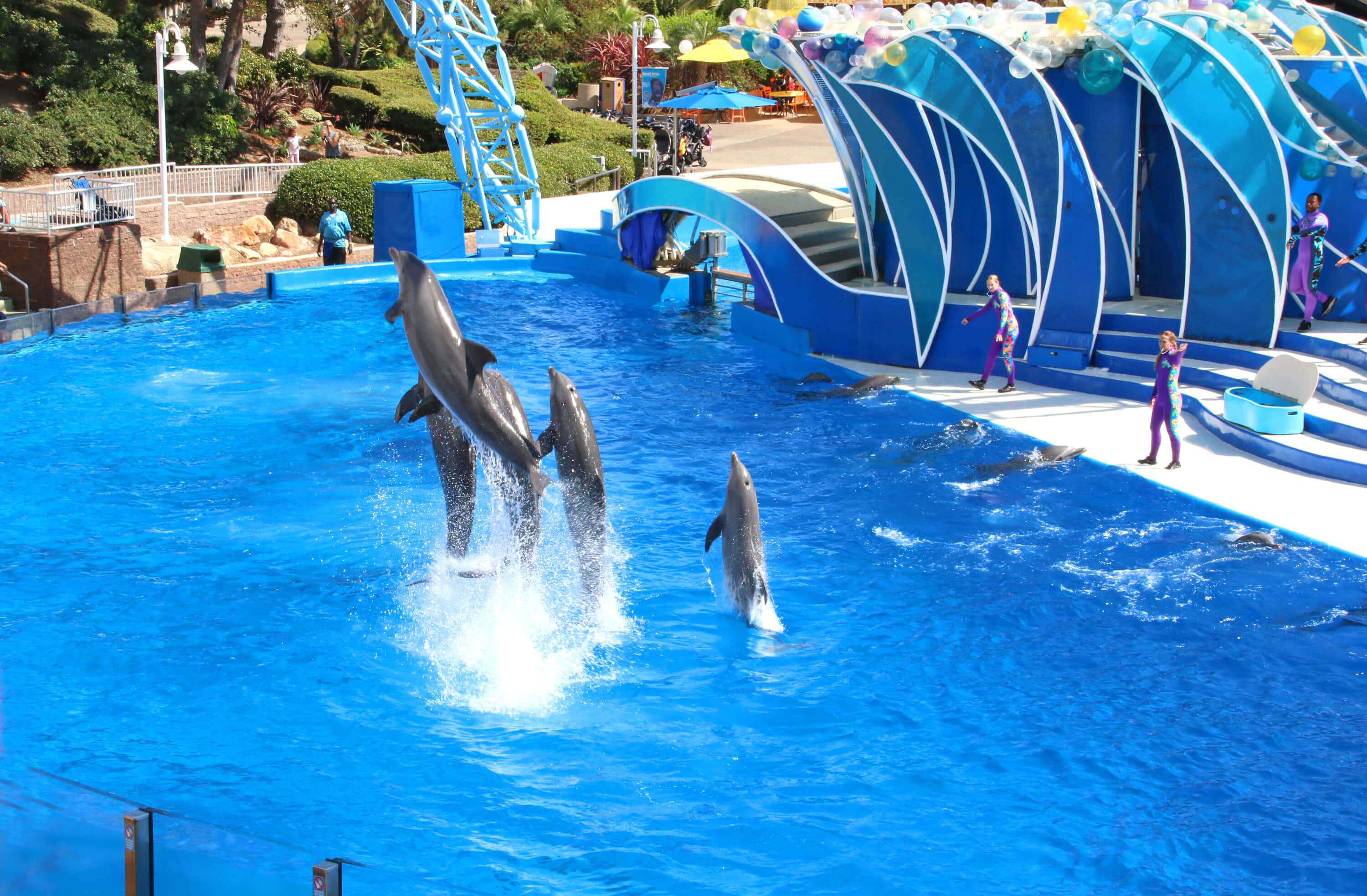 seaworld-4