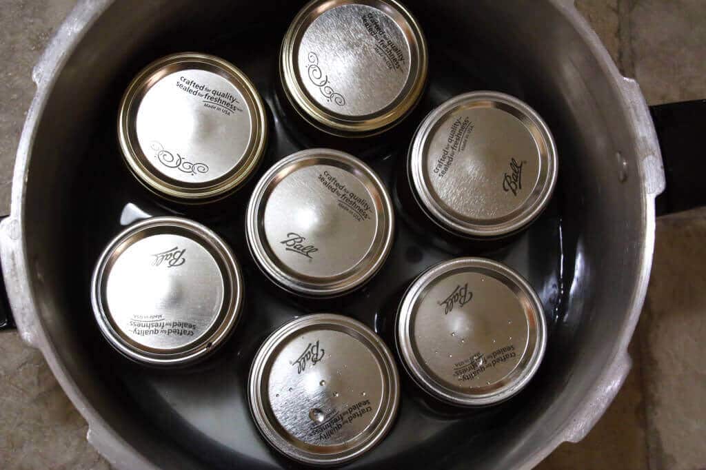 Maximizer Fruit   Apple Cider Press Review   How To Bottle   Preserve Fresh Apple Juice - 5