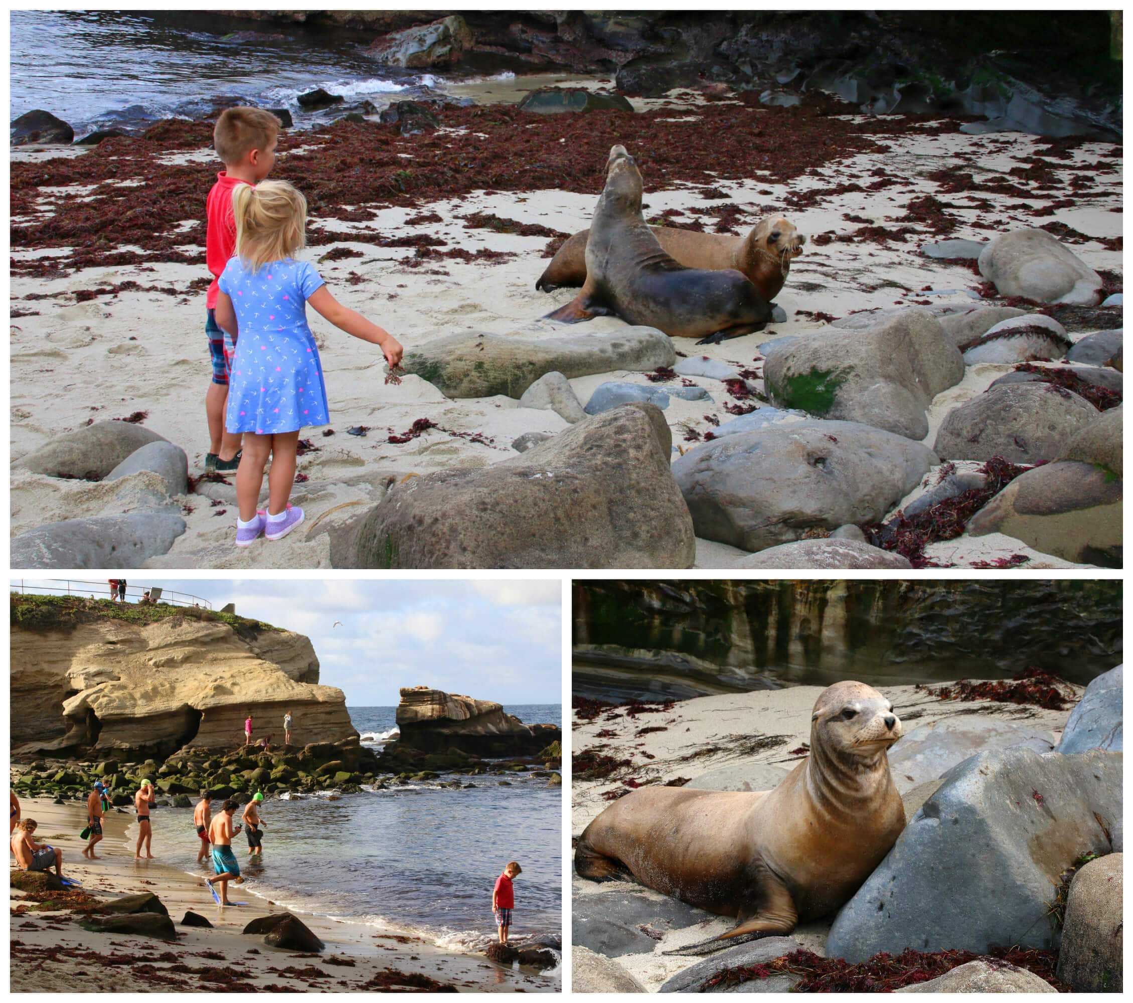 san diego tourist attractions for families