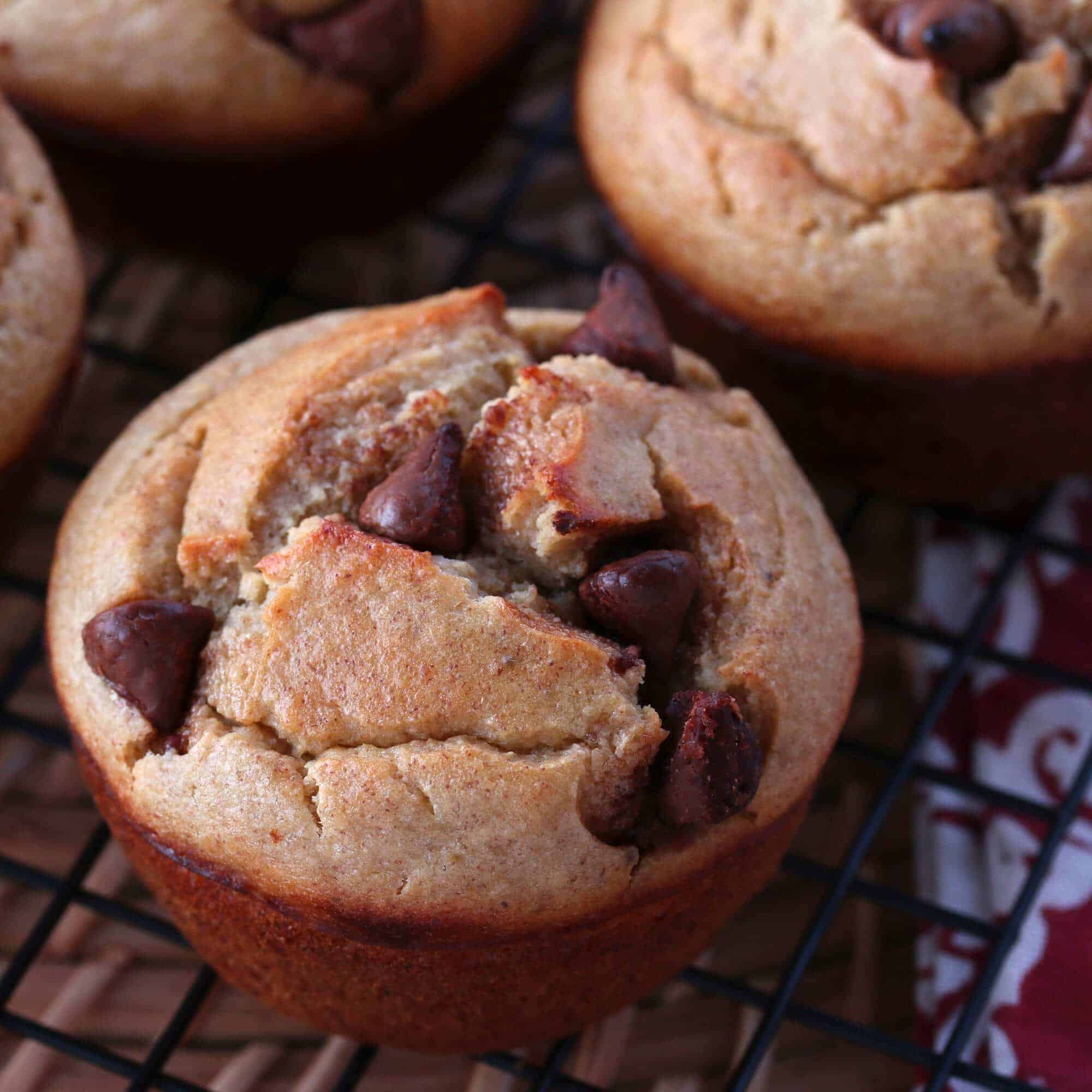 blender muffins recipe easy healthy without flour sugar oil gluten free chocolate chips banana