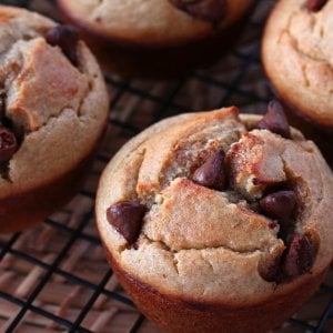 blender muffins recipe banana oatmeal chocolate chip bran healthy gluten free without sugar flour oil