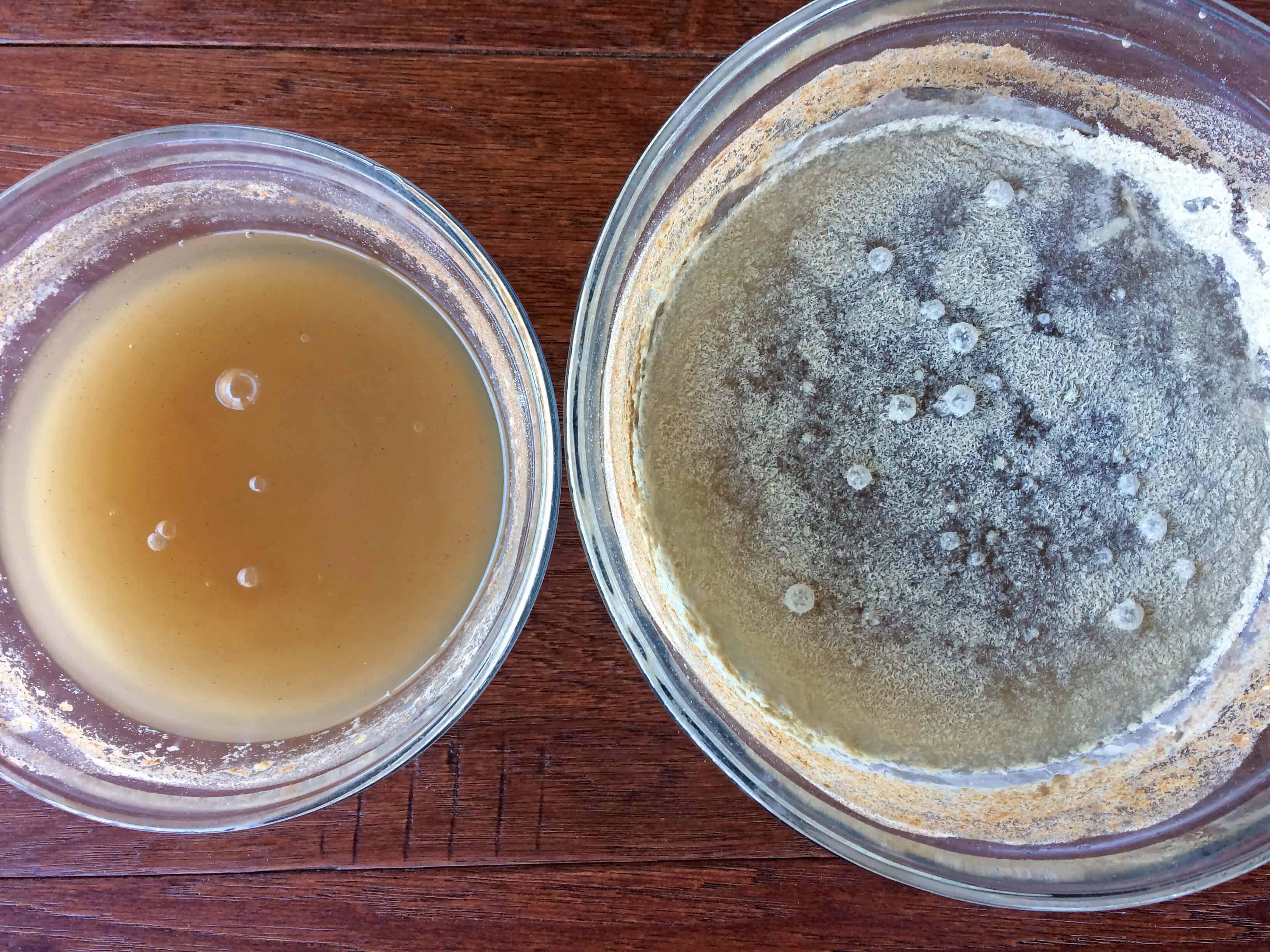 fermenting batter for injera
