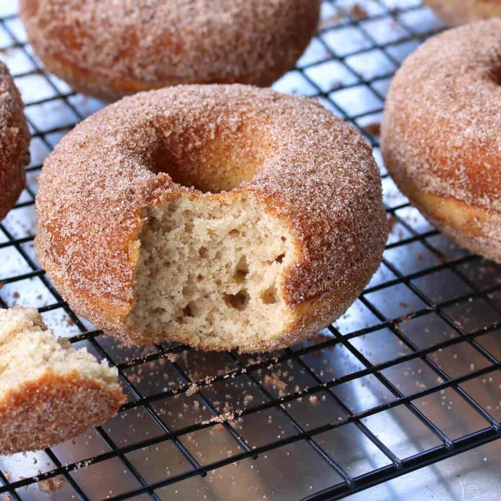 gluten free baked donuts recipe cinnamon sugar cake doughnuts best