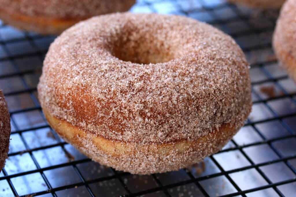 gluten free baked donuts recipe cinnamon sugar cake doughnuts best