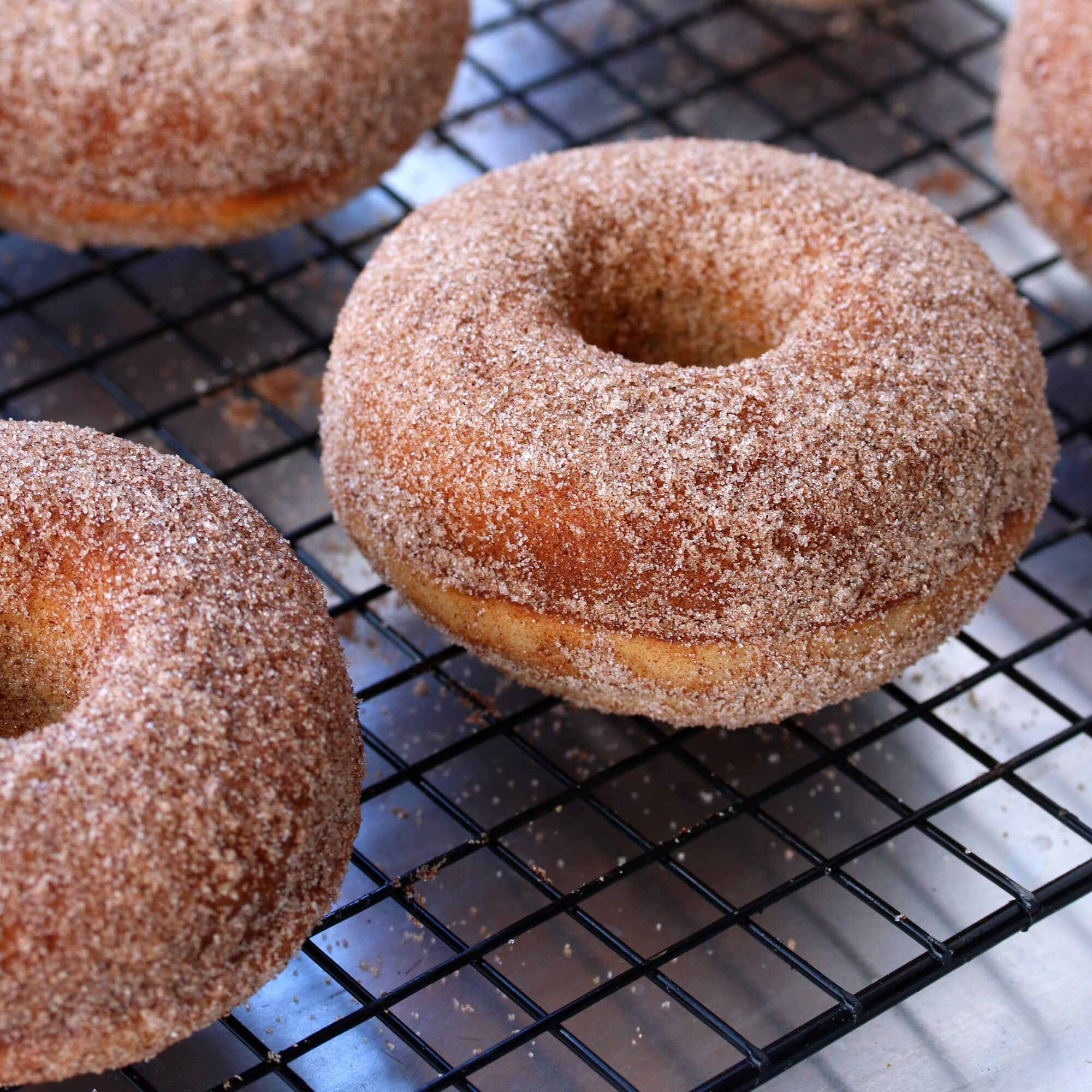 gluten free cinnamon sugar donuts doughnuts recipe baked oven