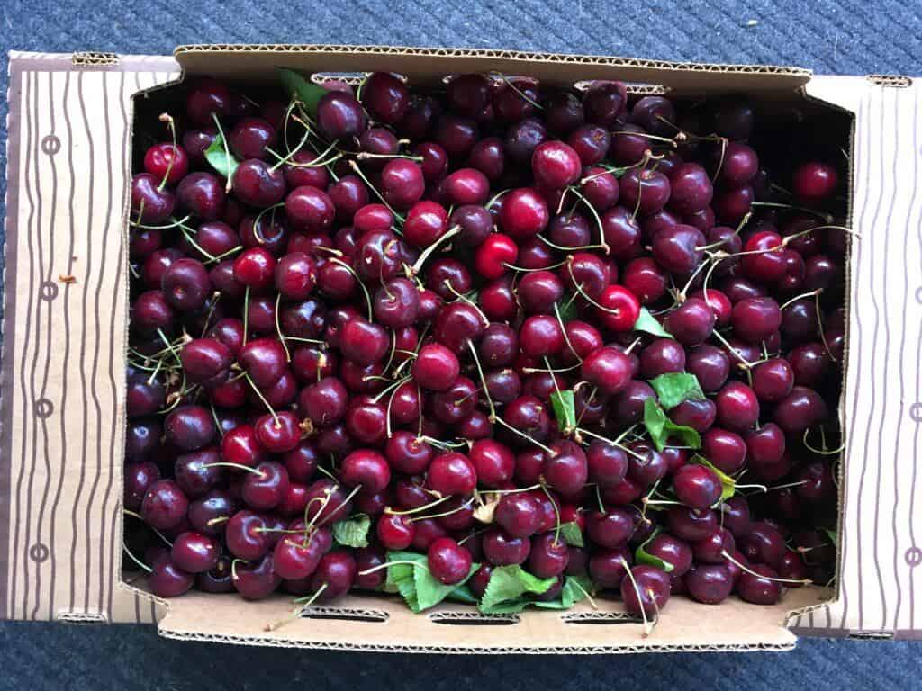 Cherry Barbecue Sauce The Daring Gourmet