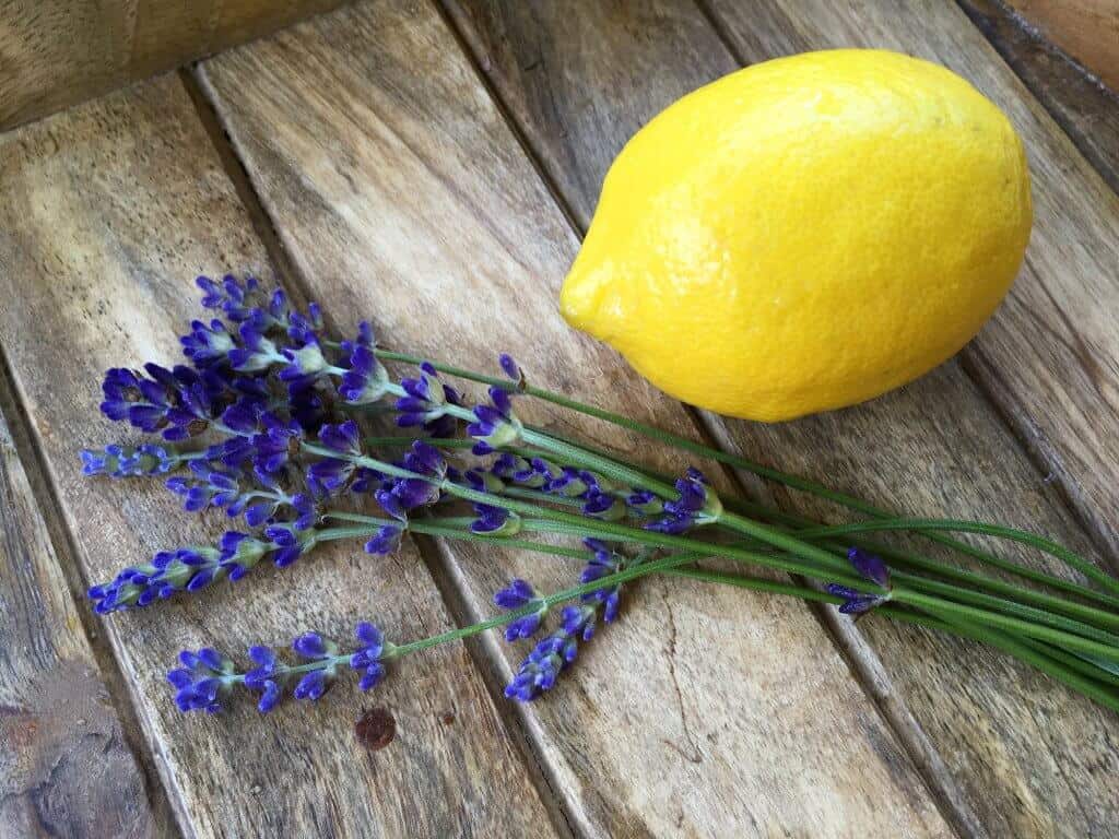 whole lemon and lavender flowers
