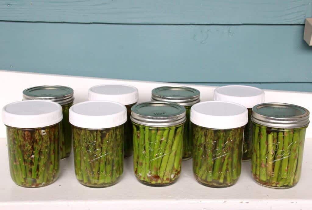 Pickled Asparagus The Daring Gourmet