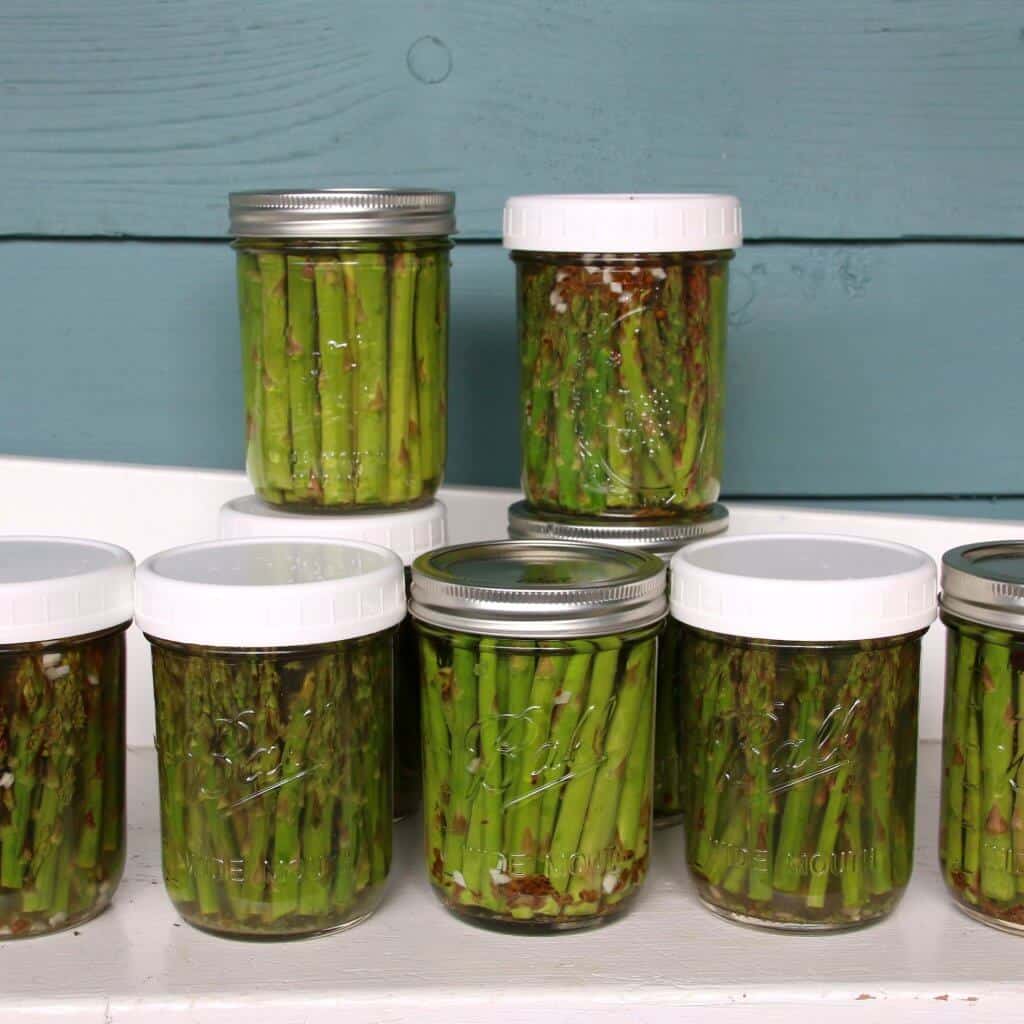 Pickled Asparagus The Daring Gourmet