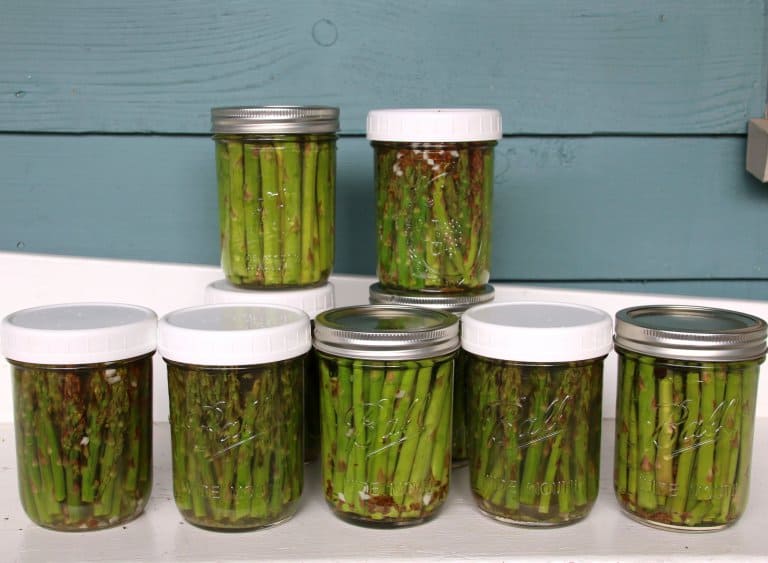 Pickled Asparagus