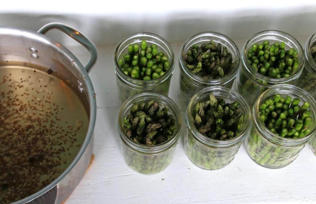 Pickled Asparagus The Daring Gourmet