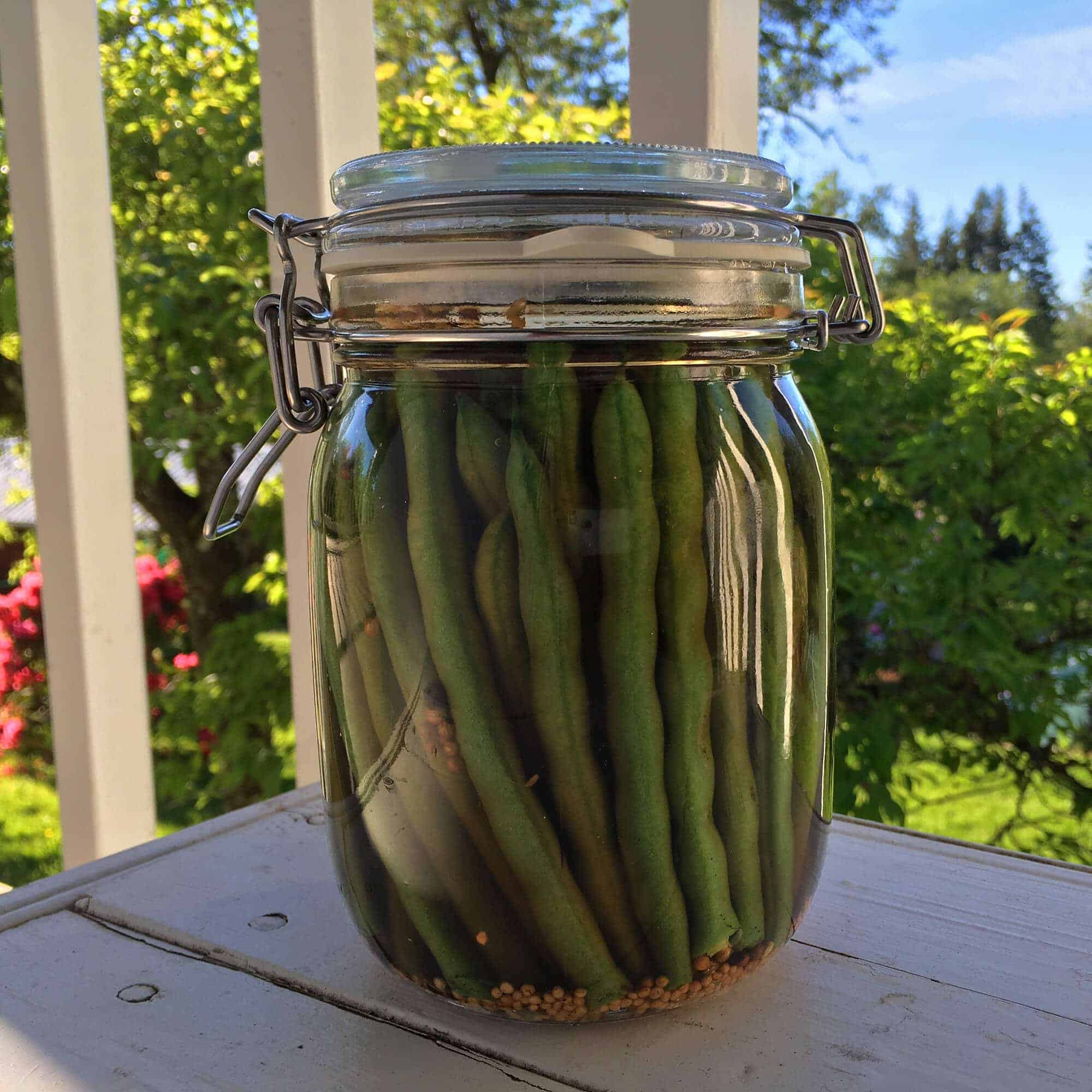 dill pickled green beans dilly beans recipe pickling canning preserving