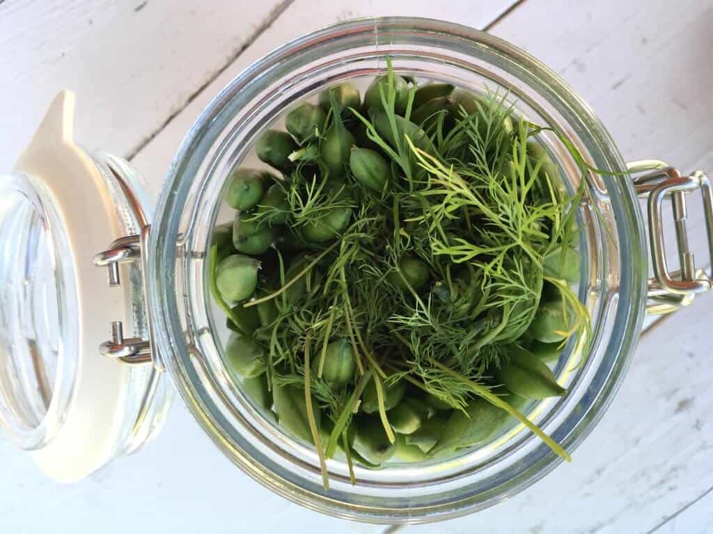 Pickled Green Beans (Dilly Beans) The Daring Gourmet