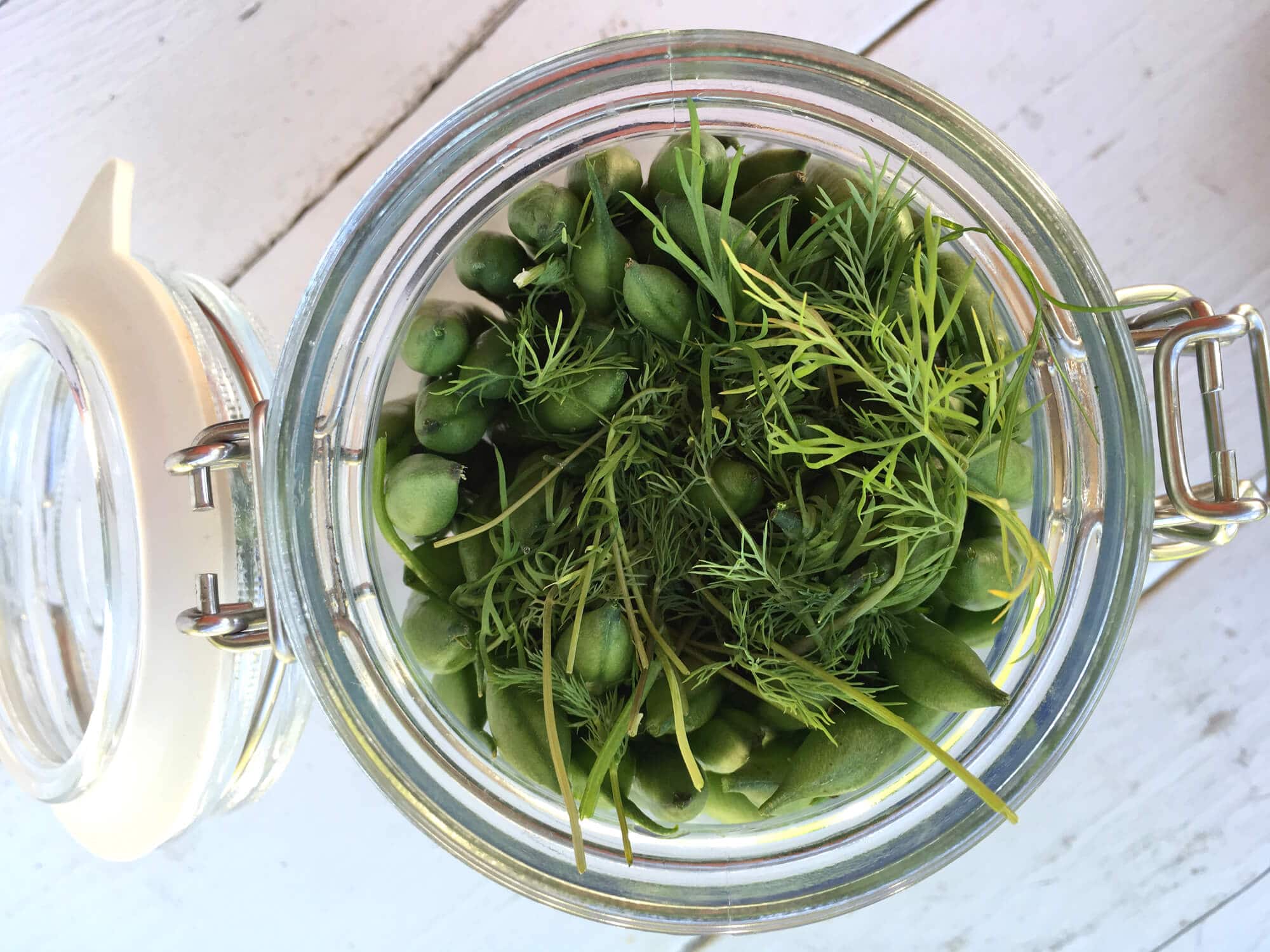 dill pickled green beans dilly beans recipe pickling canning preserving