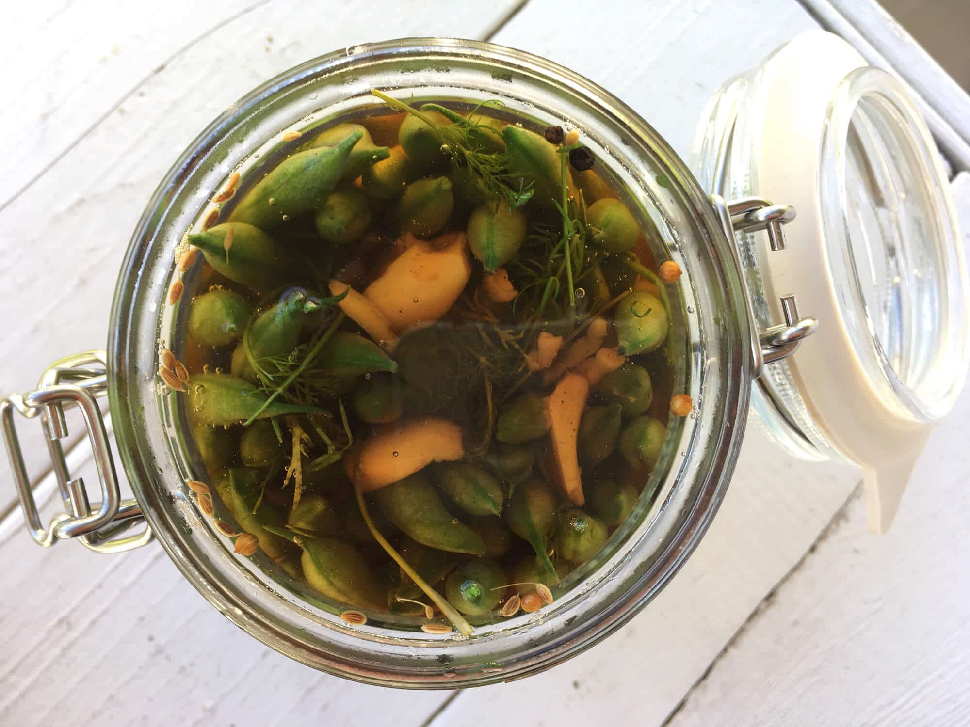 dill pickled green beans dilly beans recipe pickling canning preserving