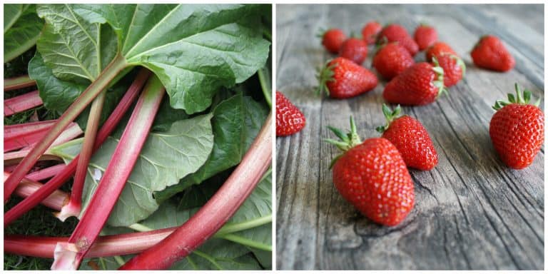 rhubarb and strawberries