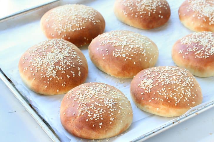 homemade hamburger buns recipe